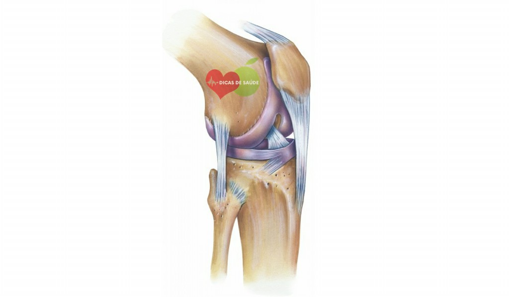 Receitas Para Fortalecer os Tendões e Ligamentos