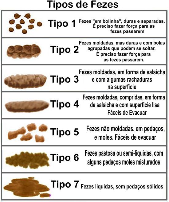 Como Identificar Doenças Pelo Formato e Cor das Fezes