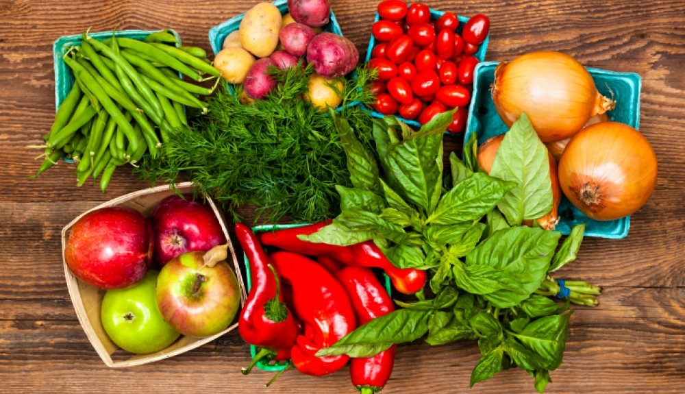 Os 10 Principais Alimentos Ricos em Proteína Vegetal