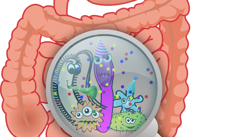 Síndrome do Intestino Irritável