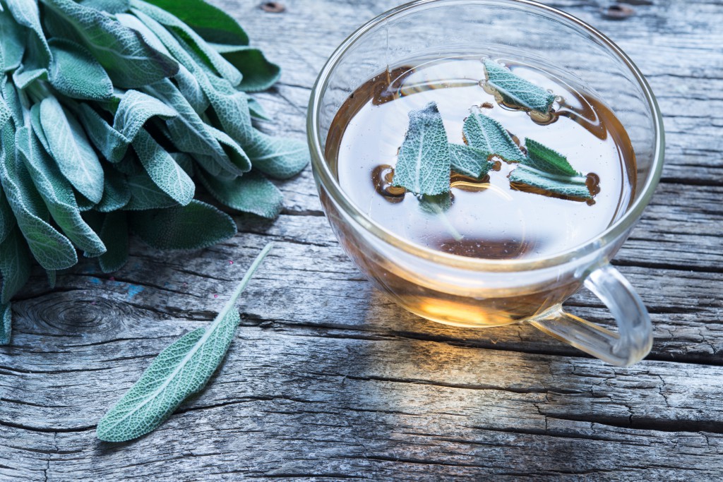 Chá de sálvia para combater a ansiedade: como fazer, receitas e dicas