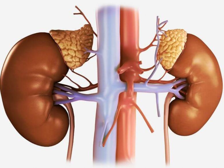 insuficiencia renal crônica