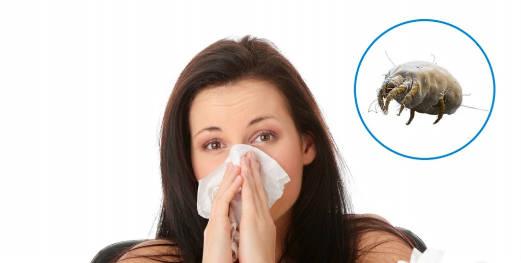 Principais Alergias Causadas Por Ácaros