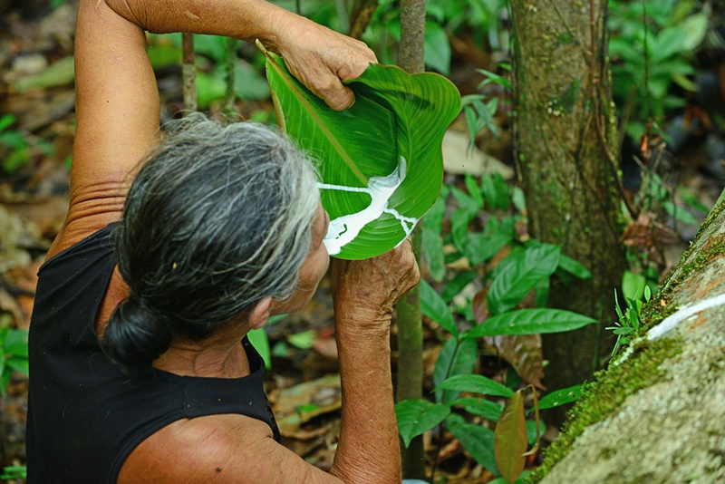 Amapá 2