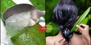 Aloe Vera Para Hidratar o Cabelo