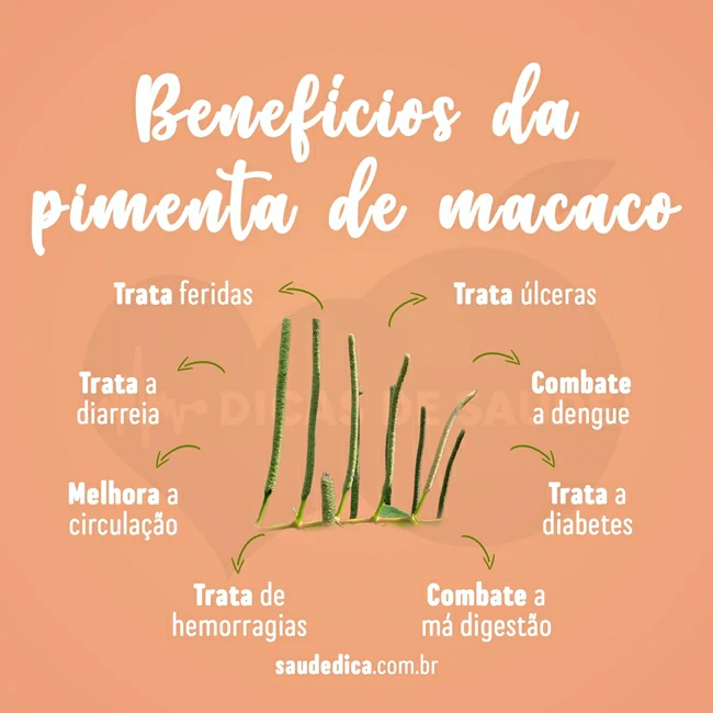 Benefícios da pimenta de macaco