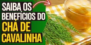 Chá de cavalinha