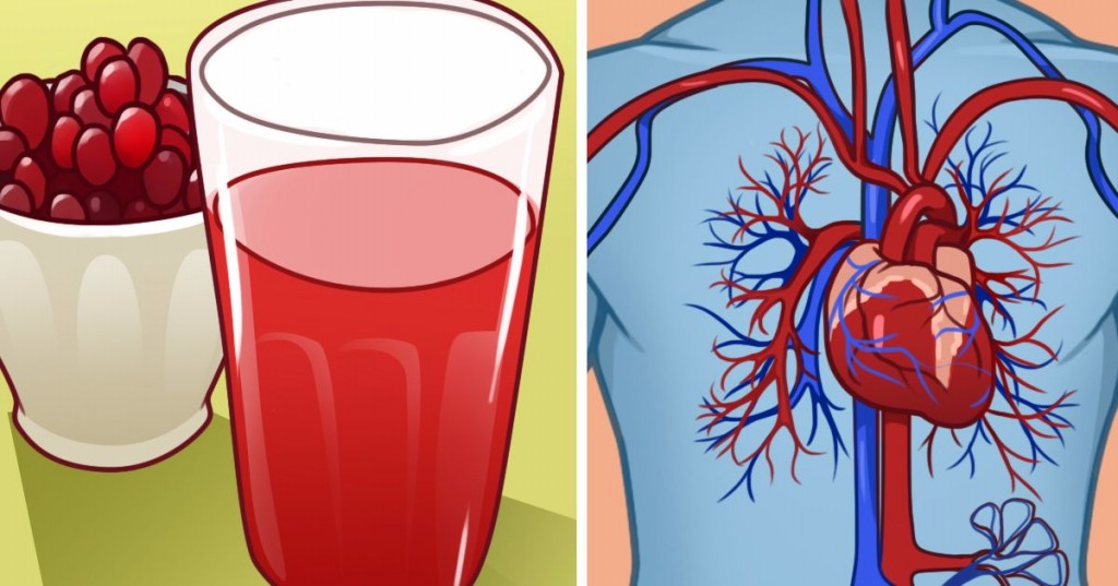 Benefícios do Cranberry Para o Coração e Saúde