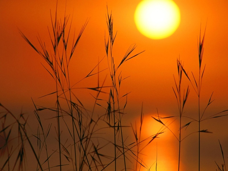 Benefícios da Luz Solar