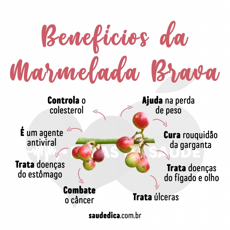 Benefícios da Marmelada Brava