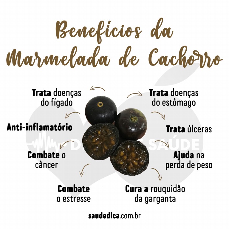 Benefícios da Marmelada de Cachorro