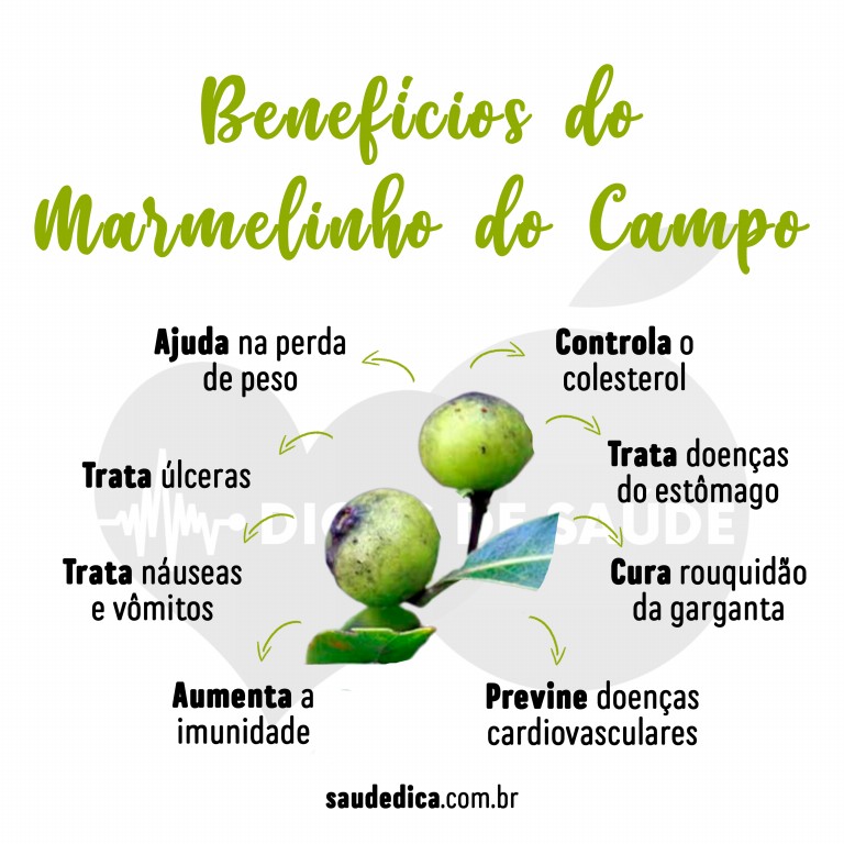 Benefícios do Marmelinho do Campo para saúde