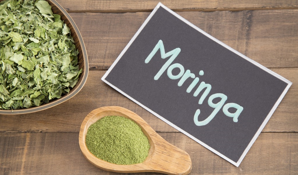 Moringa 1