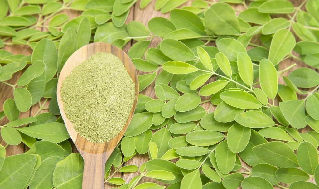 Moringa 3