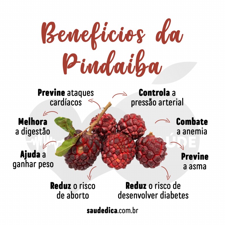 Benefícios da Pindaíba para saúde