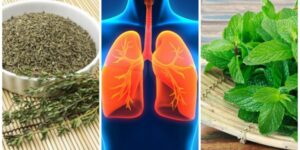 alimentos que melhoram a saúde do pulmão
