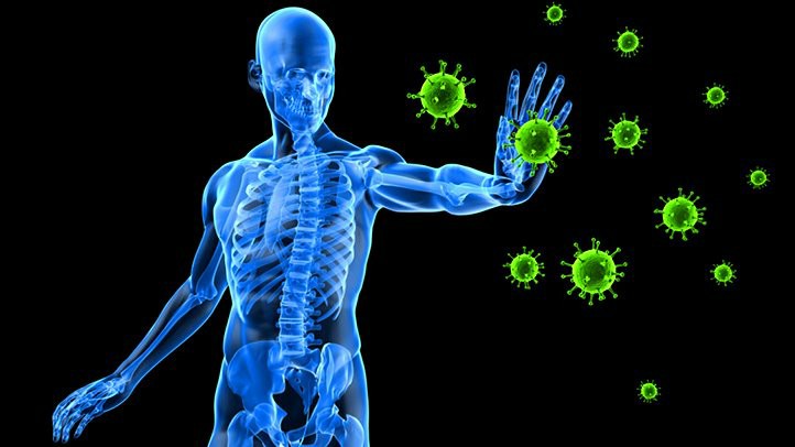 O que faz o sistema imunológico?