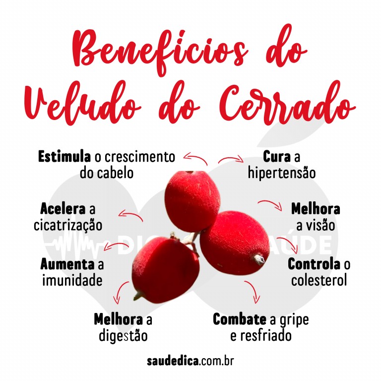 Benefícios do Veludo do Cerrado para saúde