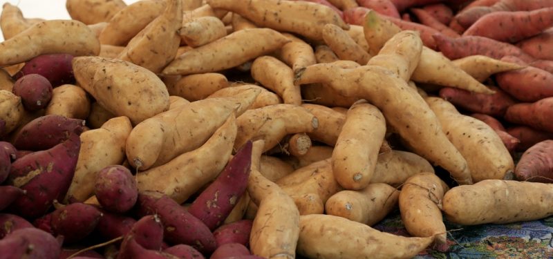 Os 15 Alimentos que Ajudam Melhorar o Desempenho Sexual