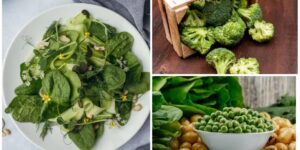 alimentos ricos em proteínas vegetais