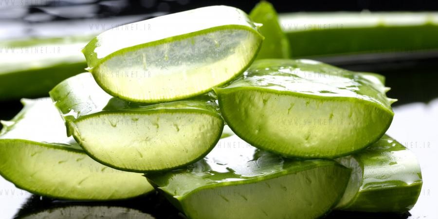 Aloe Vera Para Hidratar o Cabelo