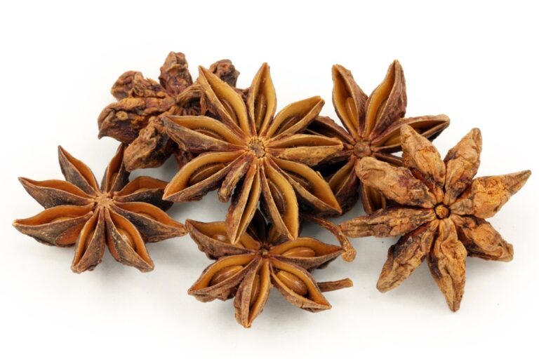 10 Benefícios do Chá de Anis Estrelado Para que Serve e Características Dicas de Saúde 10 Benefícios do Chá de Anis Estrelado Para que Serve e Características Dicas de Saúde