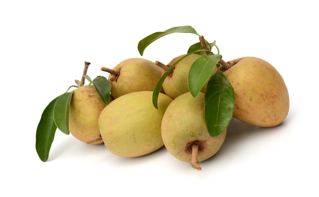 benefícios do sapoti | Dicas de Saúde