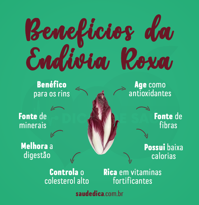 beneficios da endivia roxa