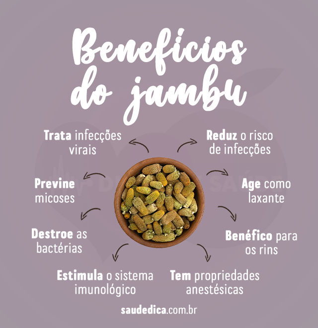 beneficios do jambu