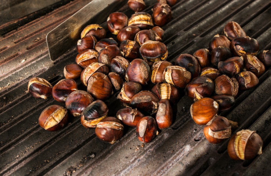 Castanha Portuguesa