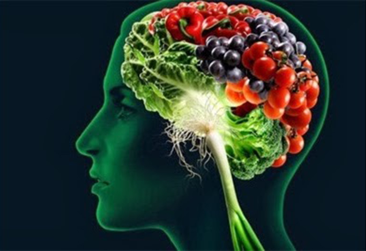 Alimentos que Melhora o Funcionamento do Cérebro