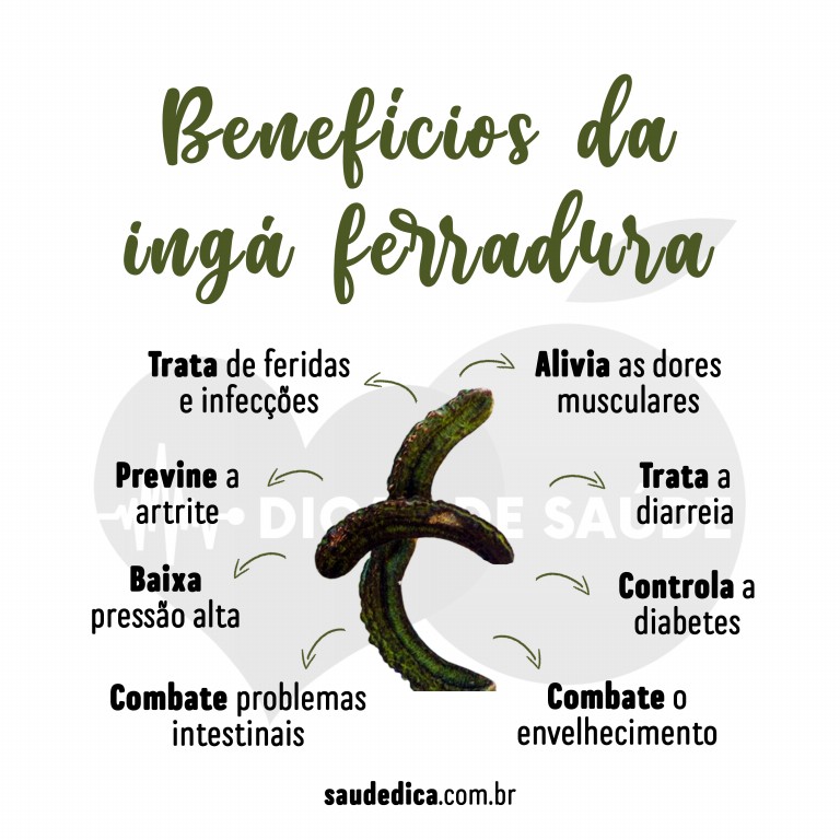 Benefícios da Ingá Ferradura para saúde