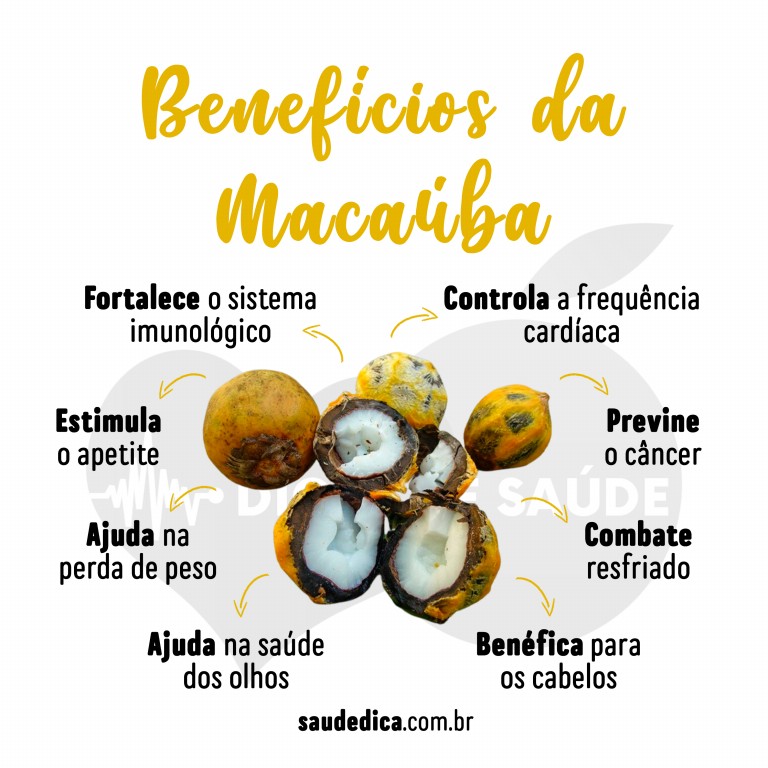 Benefícios da Macaúba Para Saúde