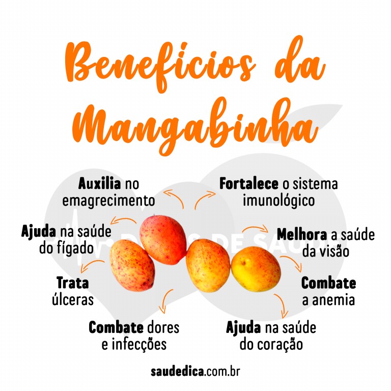 Benefícios da Mangabinha para saúde