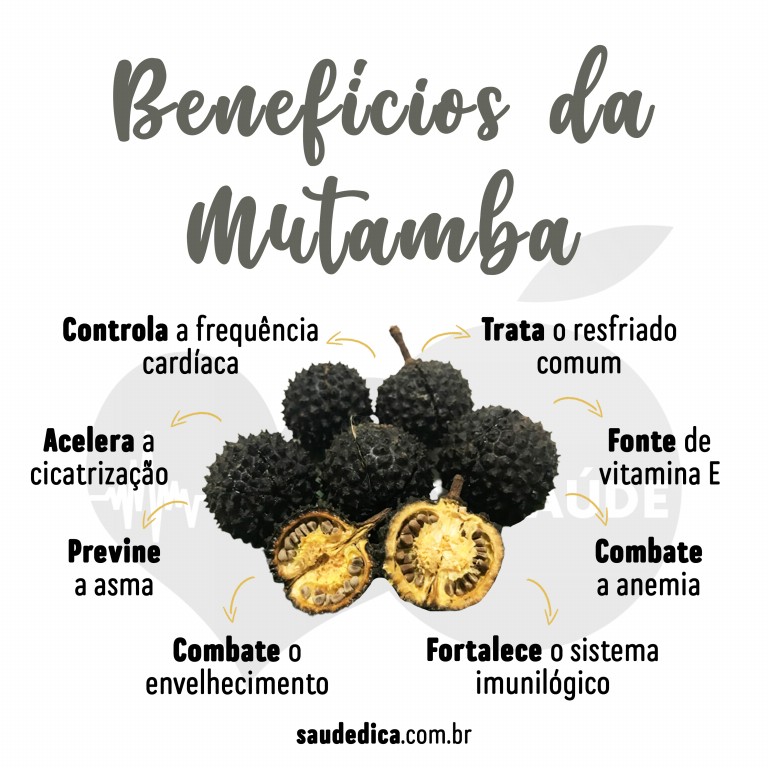 Benefícios da Mutamba para saúde