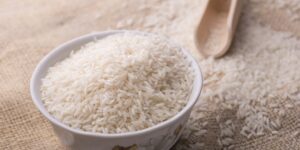 benefícios da proteína do arroz