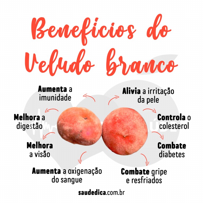 Benefícios do Veludo Branco para saúde