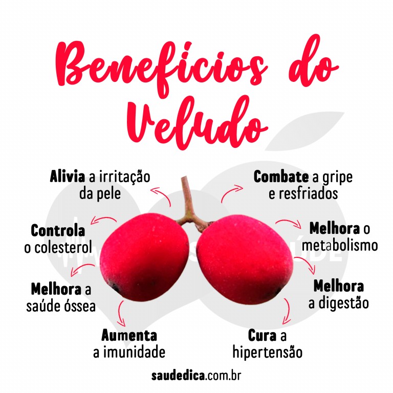 Benefícios do Veludo para saúde 