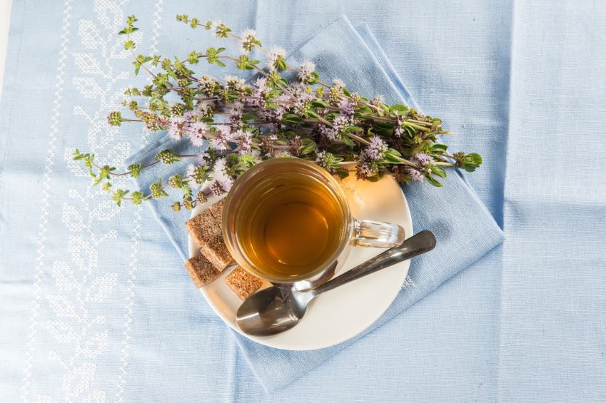 Benefícios do Chá de Poejo