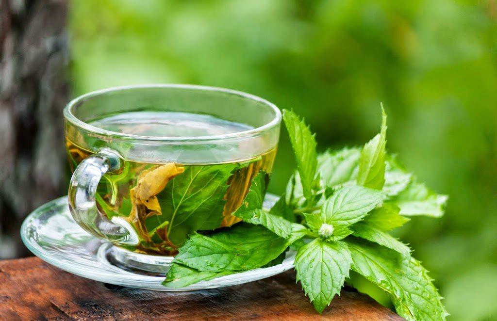 Chá Detox de Eucalipto Para Tratar Rinite e Sinusite