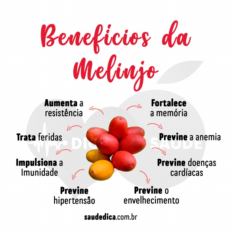 Benefícios do Melinjo para saúde