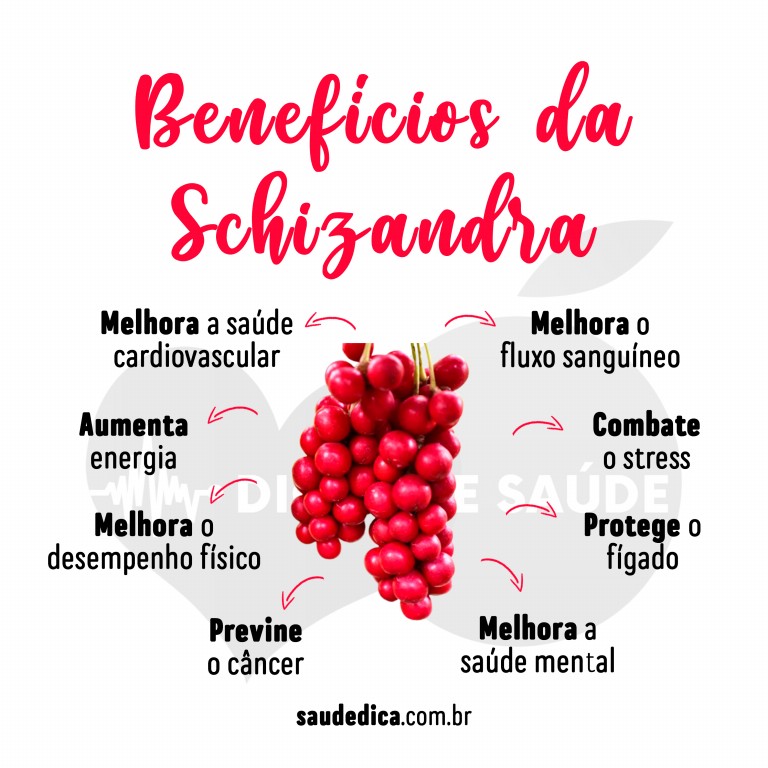 Benefícios da Schizandra para a saúde