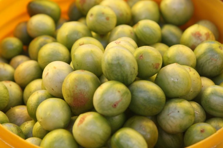 12 Benefícios da Vitamina de Umbu Para que Serve e Características