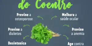 Benefícios do coentro