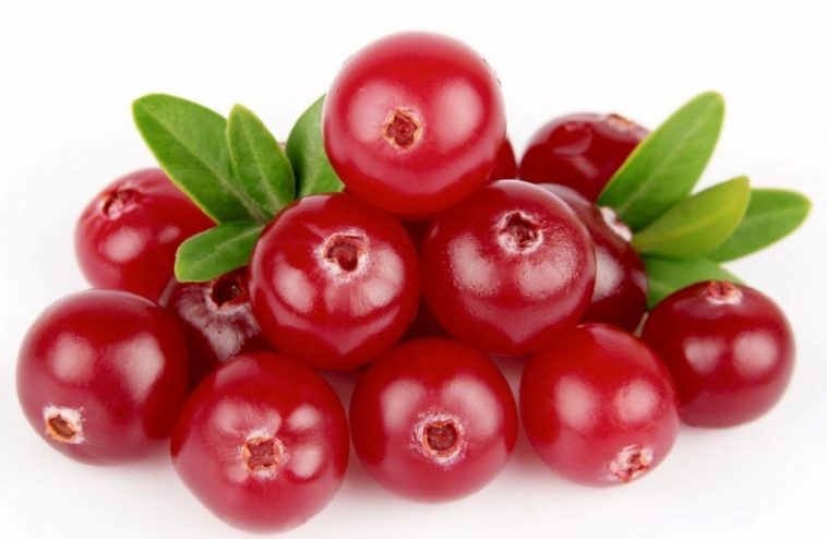 15 Benefícios da Cranberry – Para que Serve e Características | Dicas ...