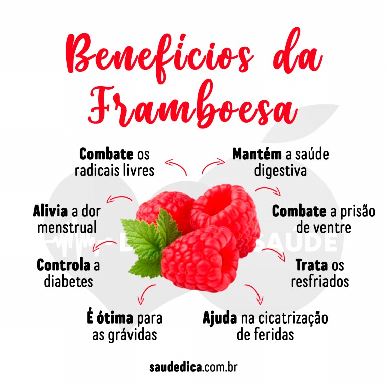 Framboesa Fruta: Para que serve, como usar, valor nutricional, benefícios e malefícios