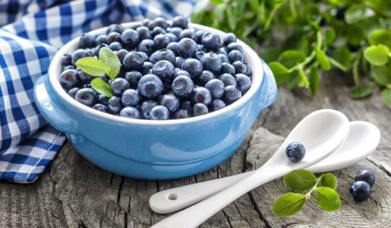 15 Benefícios do Mirtilo – Para que Serve e Características | Dicas de ...