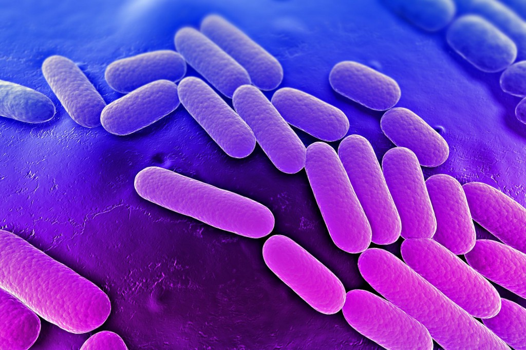 Pneumonia Bacteriana