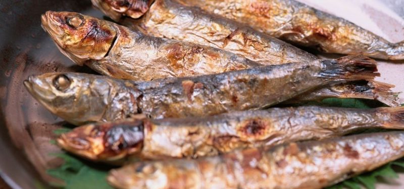 Os 10 Benefícios da Sardinha Para Saúde