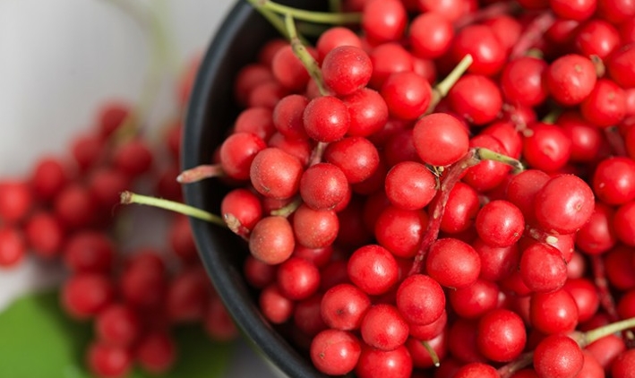 Benefícios da Schizandra para a saúde